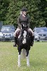 thornton-le-dale-gala showclass7acharity25-5-20195